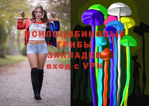 PSILOCYBIN Баксан