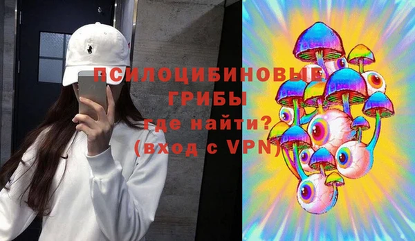 PSILOCYBIN Баксан