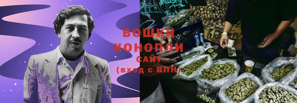 PSILOCYBIN Баксан